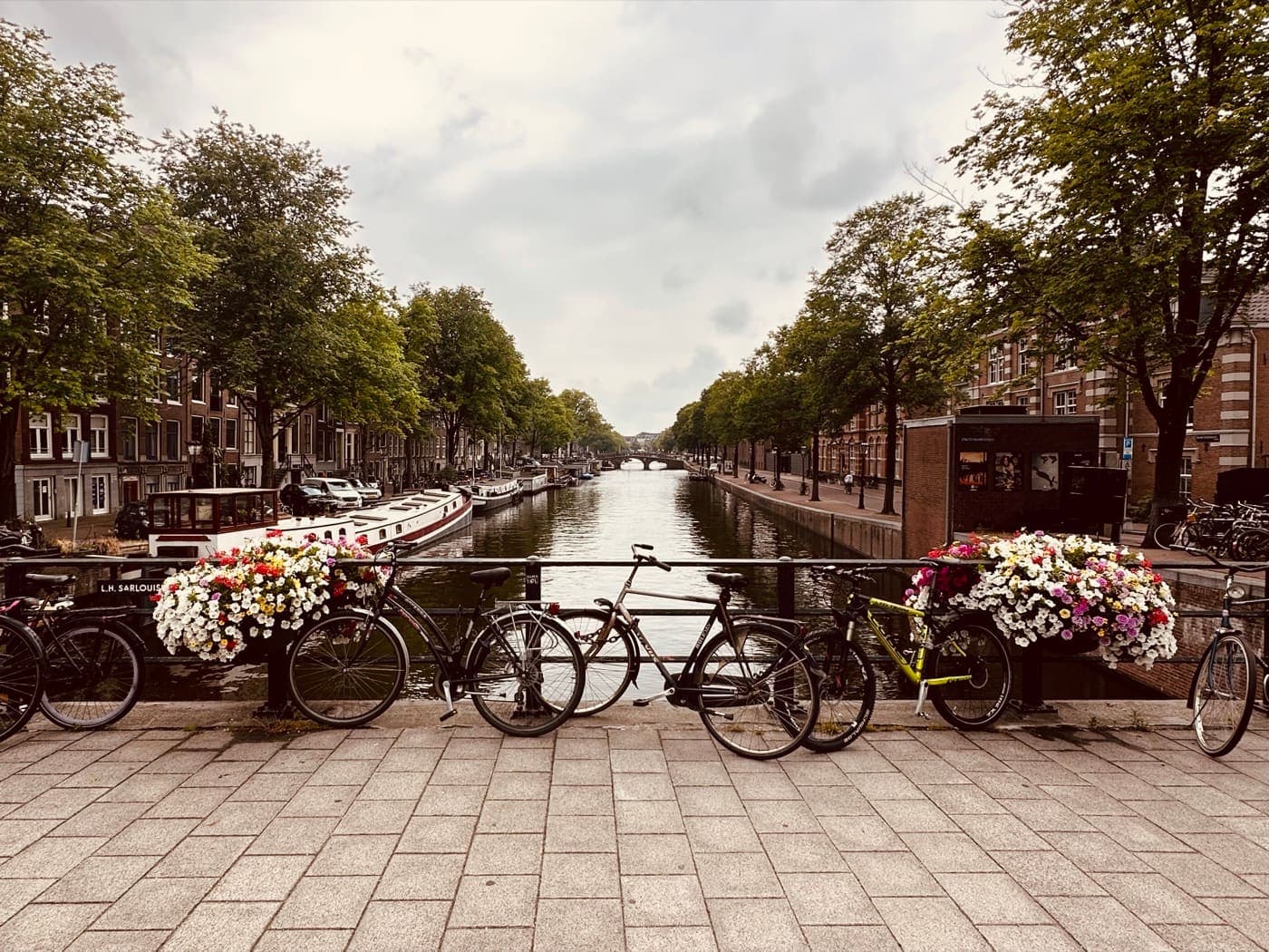 Amsterdam'da kanal boyu; köprü korkuluğunda çiçekler ve park etmiş bisikletler